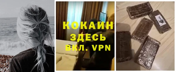 шишки Горно-Алтайск