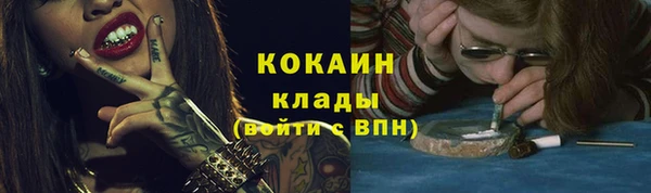 Альфа ПВП Гусев