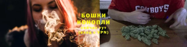 метадон Гусь-Хрустальный