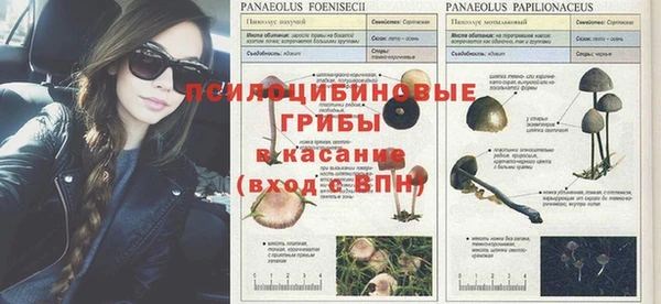 Альфа ПВП Гусев