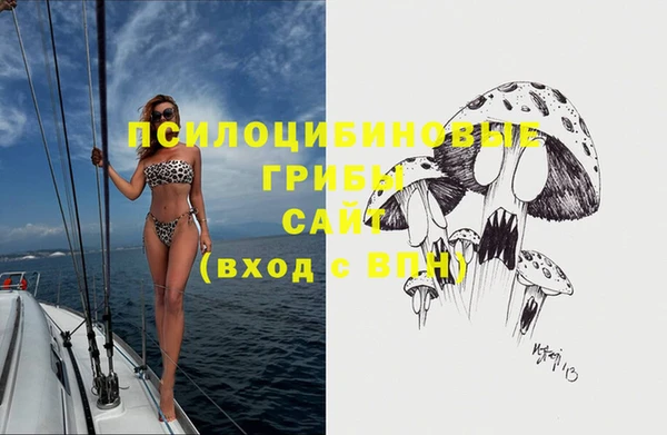 гашик Калининец