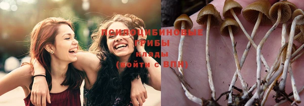 тгк Гусиноозёрск