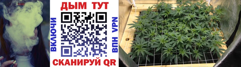 Купить  Кинешма  Канабис LSD WEED 